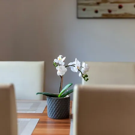 Apartament Vila Helena - Apartman Helena 15